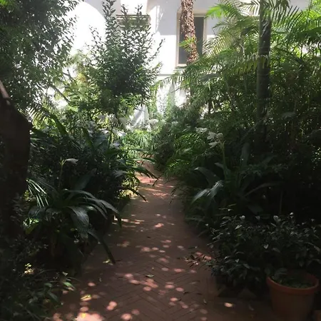 Plebiscito Apartament By Ele *